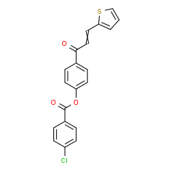 4-[3-(2-THIENYL)ACRYLOYL]PHENYL 4-CHLOROBENZENECARBOXYLATE structure