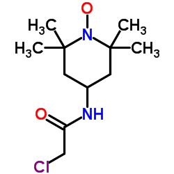 2-chloro-N-(1-hydroxy-2,2,6,6-tetramethyl-4-piperidyl)acetamide Structure