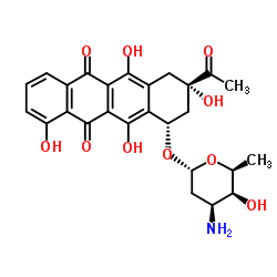 Carubicin structure