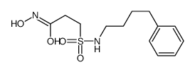 N-hydroxy-3-(4-phenylbutylsulfamoyl)propanamide结构式