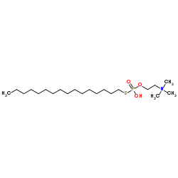 thio-Miltefosine structure
