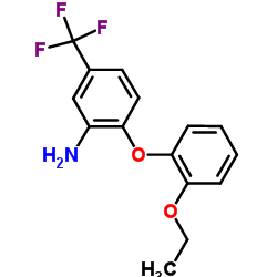 2-(2-Ethoxyphenoxy)-5-(trifluoromethyl)aniline结构式