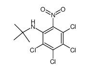 1,2,3,4-tetrachloro-5-nitro-6-t-butylaminobenzene结构式