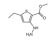 2-Thiophenecarboxylicacid,5-ethyl-3-hydrazino-,methylester(9CI)结构式