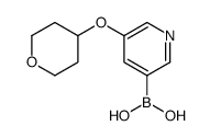 5-((Tetrahydro-2H-pyran-4-yl)oxy)pyridine-3-boronic acid Structure