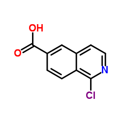 1-氯异喹啉-6-羧酸结构式