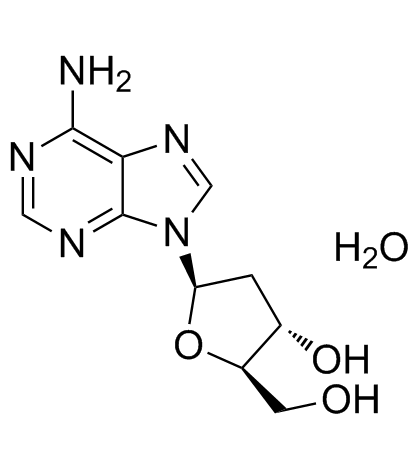 2'-Deoxyadenosine monohydrate structure