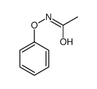 N-phenoxyacetamide结构式