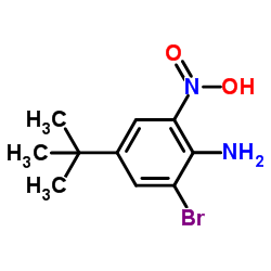 2-溴-4-(叔丁基)-6-硝基苯胺结构式