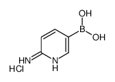(6-Aminopyridin-3-yl)boronic acid hydrochloride picture