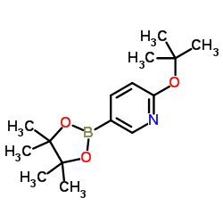 2-[(2-Methyl-2-propanyl)oxy]-5-(4,4,5,5-tetramethyl-1,3,2-dioxaborolan-2-yl)pyridine Structure