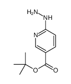 6-肼基烟酸叔丁酯结构式
