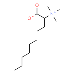 (1-carboxylatononyl)trimethylammonium Structure