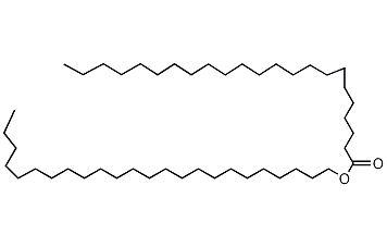 二十三(烷)酸二十四烷酯结构式