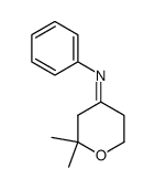 (Z)-2,2-dimethyl-N-phenyltetrahydro-4H-pyran-4-imine Structure