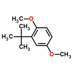 2-tert-butyl-1,4-dimethoxybenzene, CAS#:21112-37-8