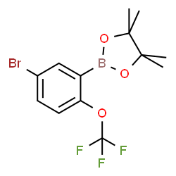 5-Bromo-2-trifluoromethoxyphenylboronic acid pinacol ester structure