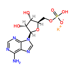 Polyadenylic acid potassium salt Structure