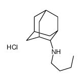 N-butyladamantan-2-amine hydrochloride Structure