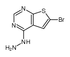6-bromo-4-hydrazino-thieno[2,3-d]pyrimidine结构式
