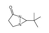 6-tert-butyl-1,5-diazabicyclo[3.1.0]hexan-2-one结构式