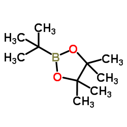 2-(tert-Butyl)-4,4,5,5-tetramethyl-1,3,2-dioxaborolane picture