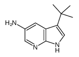 3-tert-butyl-1H-pyrrolo[2,3-b]pyridin-5-amine结构式