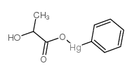2-hydroxypropanoyloxy(phenyl)mercury Structure