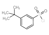 3-(tert-Butyl)benzene-1-sulfonyl chloride Structure
