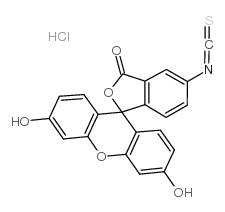 fluorescein isothiocyanate i hydrochloride Structure