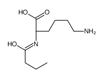 N2-(1-oxobutyl)-L-lysine picture