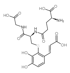 2-S-glutathionylcaffeic acid结构式