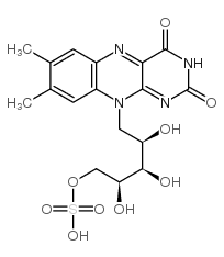 riboflavin 5'-sulfate structure