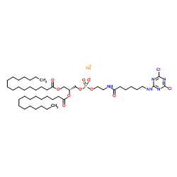 1,2-二棕榈酰基-sn-甘油-3-磷酸乙醇胺-N-{6-[((氰尿基)氨基]己酰基}}(钠盐)结构式