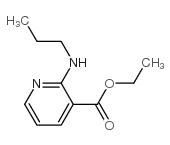 3-Pyridinecarboxylicacid,2-(propylamino)-,ethylester(9CI) Structure