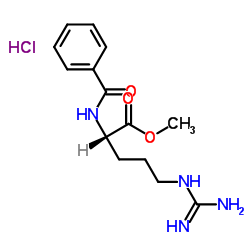 N-苯甲酰-L-精氨酸甲酯盐酸盐结构式