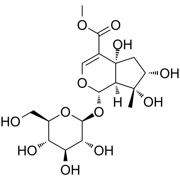 野芝麻新苷结构式
