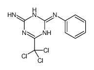 1,3,5-TRIAZINE-2,4-DIAMINE, N2-PHENYL-6-(TRICHLOROMETHYL)-结构式