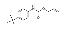 N-(allyloxycarbonyl)-4-tert-butylaniline Structure