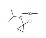 trimethyl-(1-propan-2-yloxycyclopropyl)oxysilane结构式