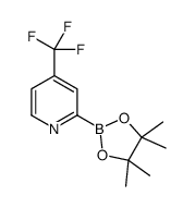 2-(4,4,5,5-tetramethyl-1,3,2-dioxaborolan-2-yl)-4-(trifluoromethyl)pyridine结构式