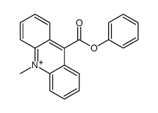 9-phenylcarboxylate-10-methylacridinium Structure