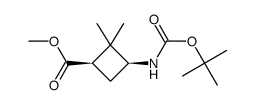 甲基顺式-3-(Boc-氨基)-2,2-二甲基环丁烷羧酸盐结构式