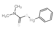 dimethylcarbamothioylsulfanyl(phenyl)mercury Structure