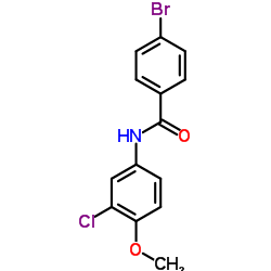 4-Bromo-N-(3-chloro-4-methoxyphenyl)benzamide结构式