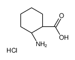 cis-2-Aminocyclohexanecarboxylic acid hydrochloride Structure