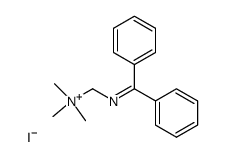 [(Diphenylmethylen)aminomethyl]trimethylammoniumiodid Structure