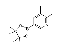 2,3-二甲基-5-(4,4,5,5-四甲基-1,3,2-二噁硼烷-2-基)吡啶结构式