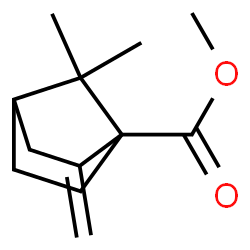 Bicyclo[2.2.1]heptane-1-carboxylic acid, 7,7-dimethyl-2-methylene-, methyl ester (9CI) Structure