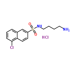 N-(4-氨基丁基)-5-氯萘-2-磺酰胺盐酸盐结构式